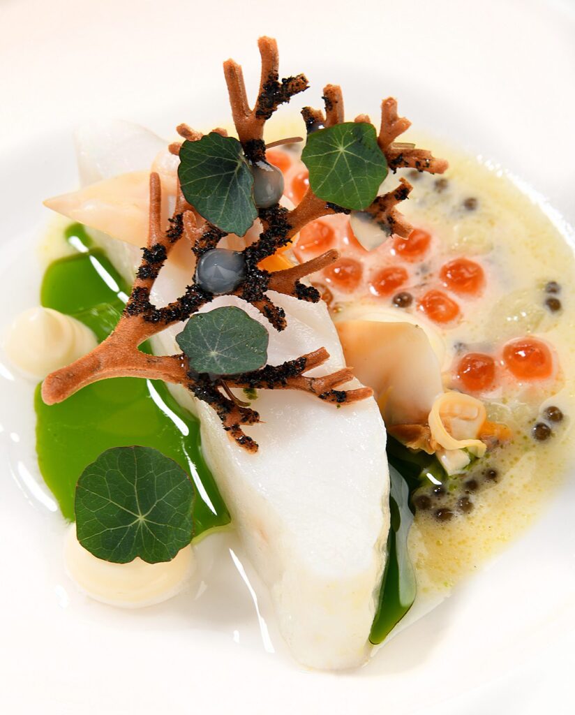 lisa-goodwin-allen-northcote